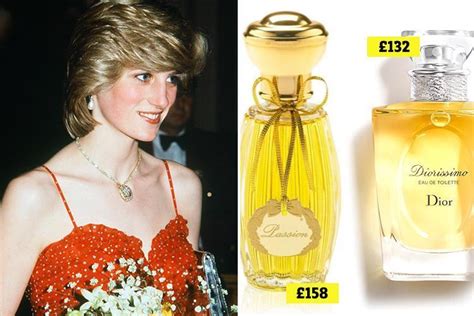 princess diana hermes|prince harry diana perfume.